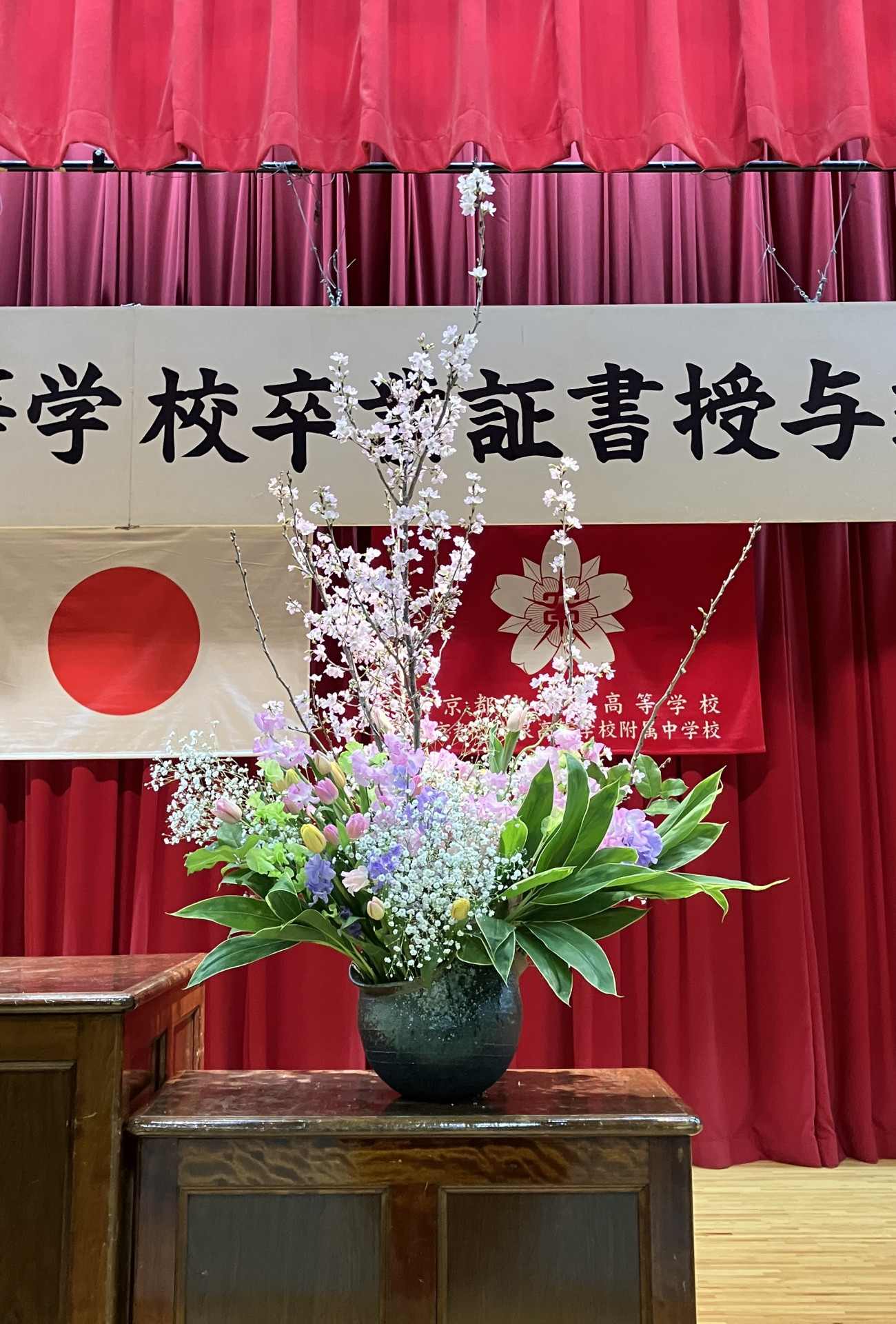 画像 -20260313-073236-174cface